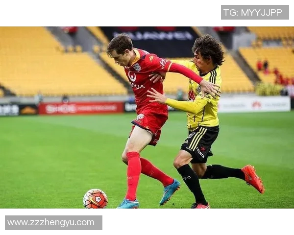 伊拉瓦拉主场迎战阿德莱德全力争胜的精彩对决 伊拉瓦拉主场迎战阿德莱德全力争胜的精彩对决